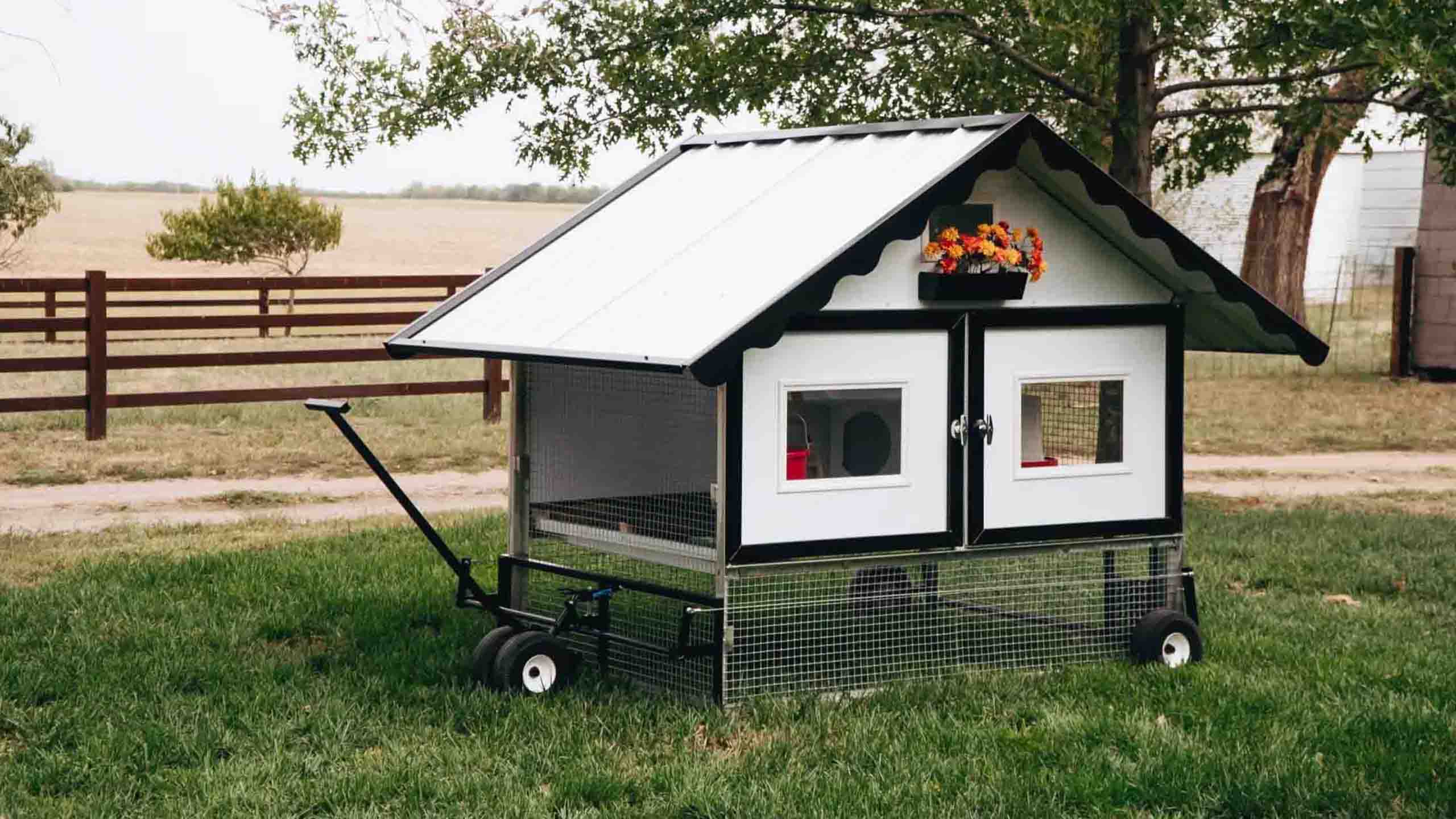 Sun Rise Sheds | Egg Cart'n Chalet Chicken Tractor