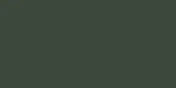 Shed Builder | Paint Color | Fern Green
