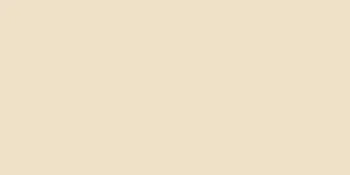 Shed Builder | Paint Color | Ivory