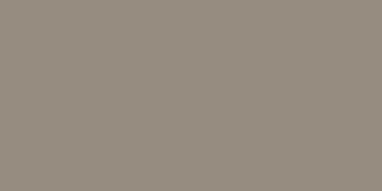Shed Builder | Paint Color | Taupe